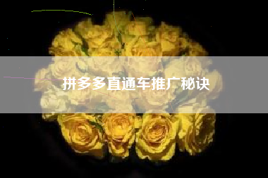拼多多直通车推广秘诀