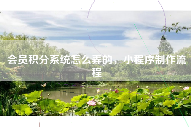 会员积分系统怎么弄的，小程序制作流程