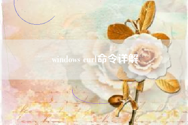 windows curl命令详解