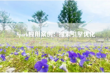Spark应用案例：搜索引擎优化