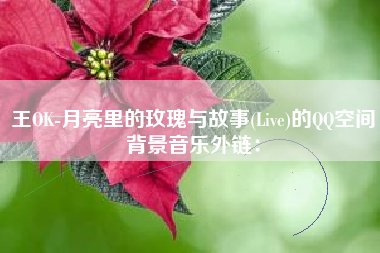 王OK-月亮里的玫瑰与故事(Live)的QQ空间背景音乐外链：