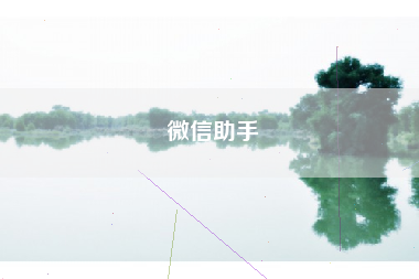 微信助手