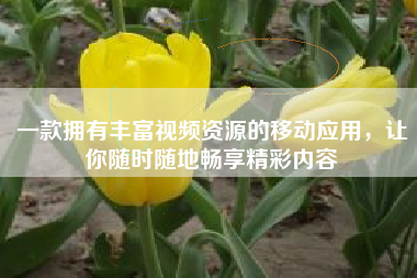 一款拥有丰富视频资源的移动应用，让你随时随地畅享精彩内容
