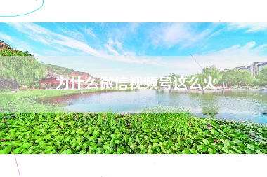 为什么微信视频号这么火