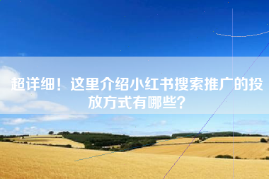 超详细！这里介绍小红书搜索推广的投放方式有哪些？