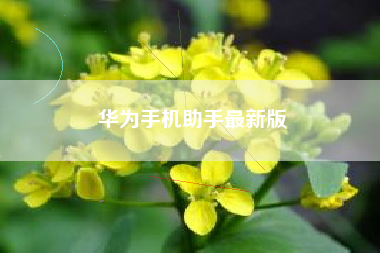 华为手机助手最新版