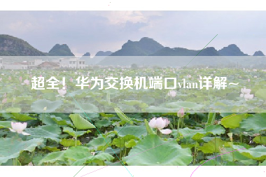 超全！华为交换机端口vlan详解~