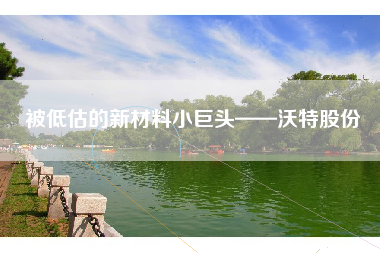 被低估的新材料小巨头——沃特股份