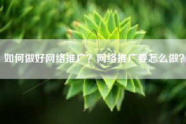 如何做好网络推广？网络推广要怎么做？