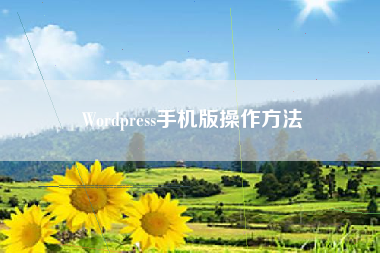 Wordpress手机版操作方法