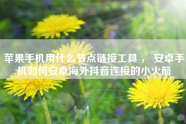 苹果手机用什么节点链接工具 ， 安卓手机如何安卓海外抖音连接的小火箭