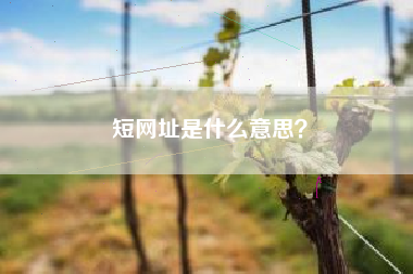 短网址是什么意思？