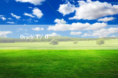 Oracle I／O 도메인 관리 설명서