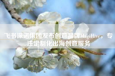 飞书深诺集团发布创意品牌MagiHive，专注定制化出海创意服务