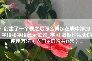 创建了一个表之后怎么再次在表中添加字段和字段显示位置_学习 数据透视表的使用方法（入门+进阶共14集）...