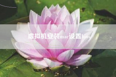 虚拟机安装mac设置bios