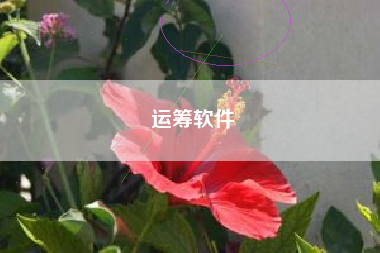 运筹软件