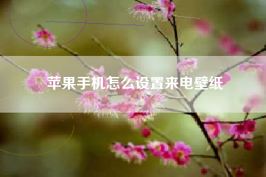 苹果手机怎么设置来电壁纸