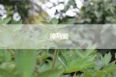 神马器
