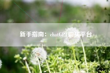 新手指南：chatGPT购买平台