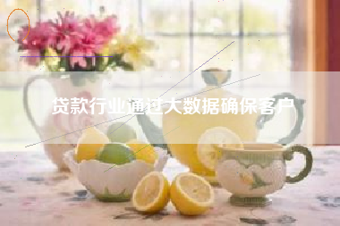 贷款行业通过大数据确保客户