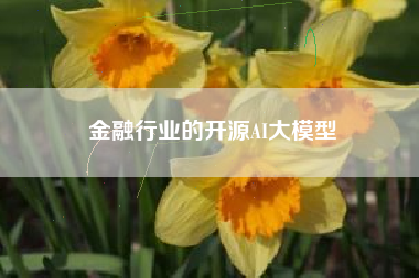 金融行业的开源AI大模型