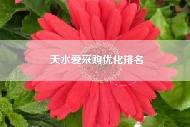 天水爱采购优化排名