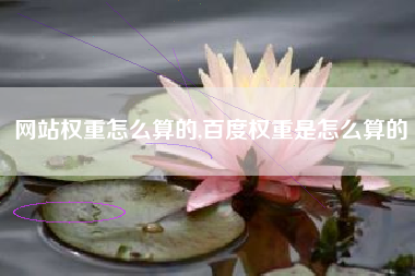 网站权重怎么算的,百度权重是怎么算的