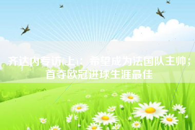 齐达内专访(上)：希望成为法国队主帅；首夺欧冠进球生涯最佳