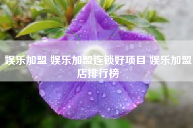 娱乐加盟 娱乐加盟连锁好项目 娱乐加盟店排行榜 娱乐加盟 娱乐加盟连锁好项目 娱乐加盟店排行榜