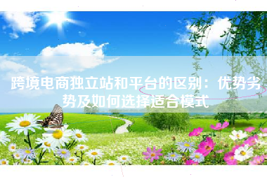 跨境电商独立站和平台的区别：优势劣势及如何选择适合模式