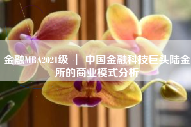 金融MBA2021级 ｜ 中国金融科技巨头陆金所的商业模式分析