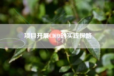 项目开展CICD的实践探路