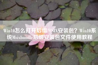 Win10怎么打开后缀.MSIX安装包？Win10系统Msixbundle后缀安装包文件使用教程