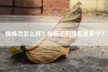 蜘蛛池怎么样？蜘蛛池的排名是多少？