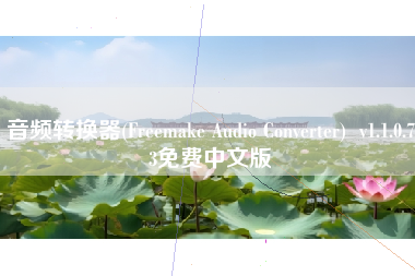 音频转换器(Freemake Audio Converter)  v1.1.0.73免费中文版