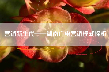 营销新生代——湖南广电营销模式探析