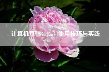 计算机基础：Excel使用技巧与实践
