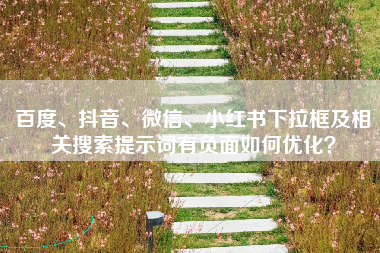 百度、抖音、微信、小红书下拉框及相关搜索提示词有负面如何优化？