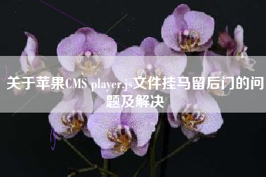 关于苹果CMS player.js文件挂马留后门的问题及解决