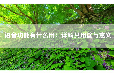 语音功能有什么用：详解其用途与意义