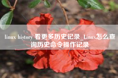 linux history 看更多历史记录_Linux怎么查询历史命令操作记录