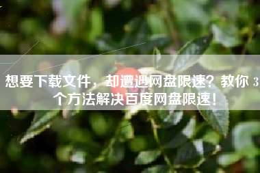 想要下载文件，却遭遇网盘限速？教你 3 个方法解决百度网盘限速！