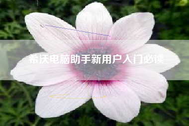 希沃电脑助手新用户入门必读