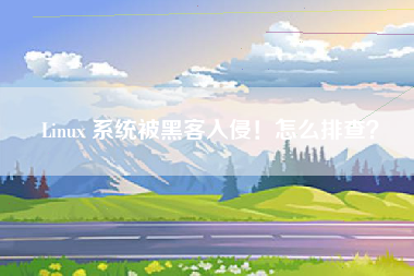 Linux 系统被黑客入侵！怎么排查？
