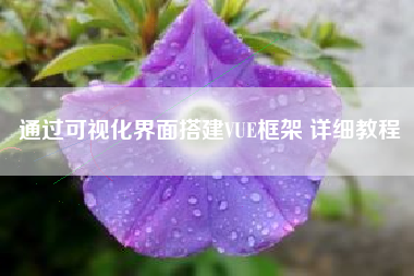 通过可视化界面搭建VUE框架 详细教程