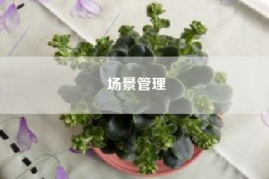 场景管理