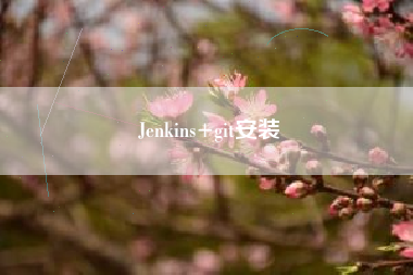 Jenkins+git安装