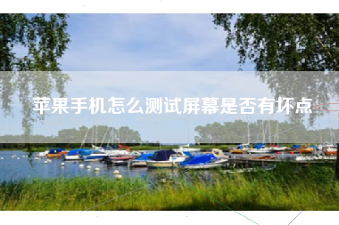 苹果手机怎么测试屏幕是否有坏点
