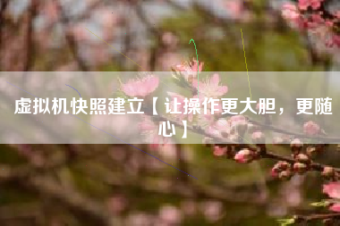 虚拟机快照建立【让操作更大胆，更随心】